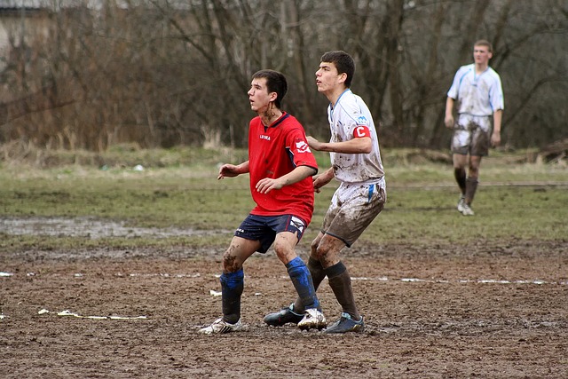 而黄蜂的乔 而黄蜂的乔