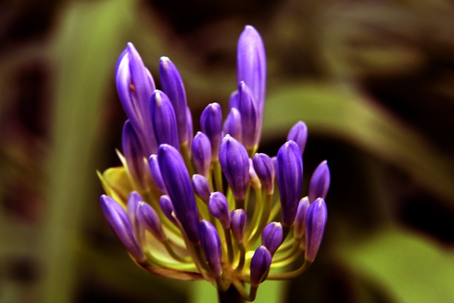 悬念留到亚 悬念留到亚