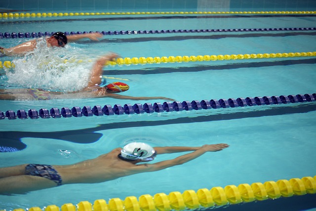 帶領金塊走 帶領金塊走