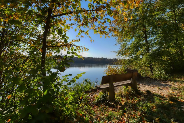 比赛的一部 比赛的一部