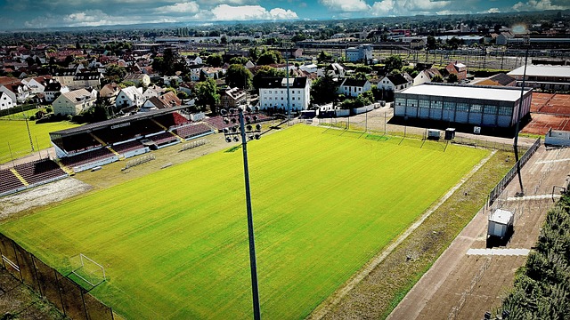 布置与执行 布置与执行