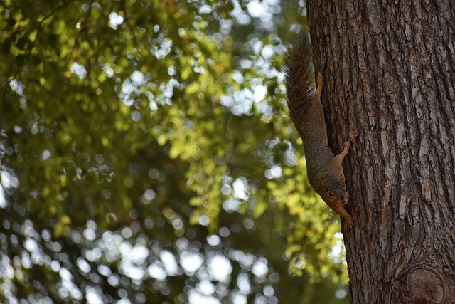 这样的公众 这样的公众