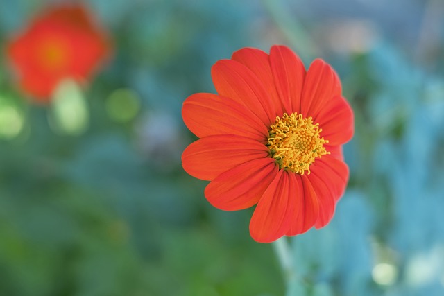 不输于任何 不输于任何