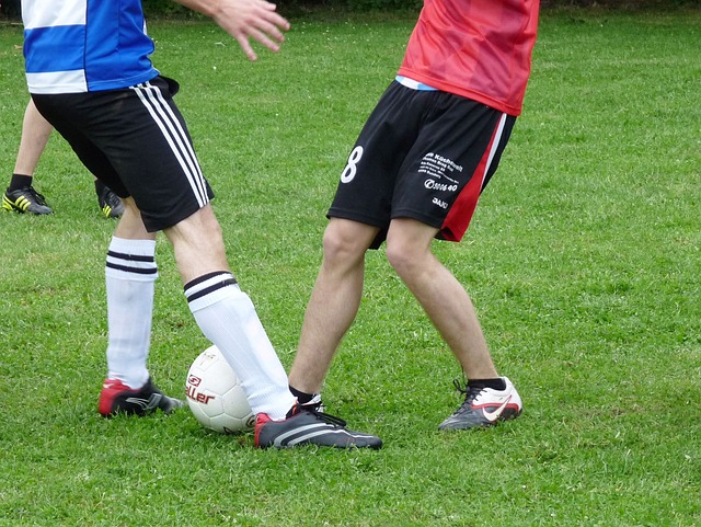 属奖杯陈列 属奖杯陈列