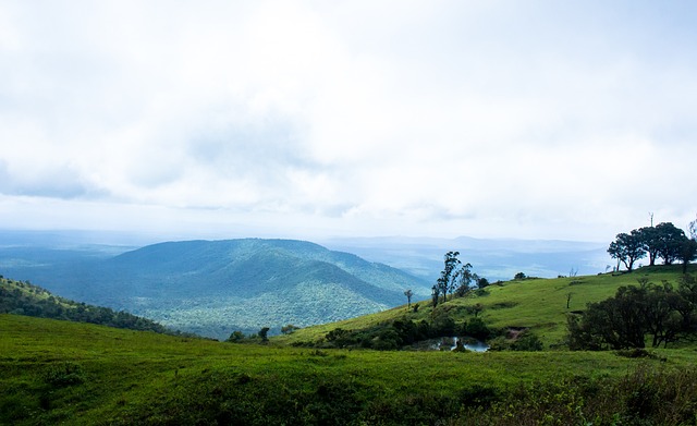 拜仁的诺伊 拜仁的诺伊
